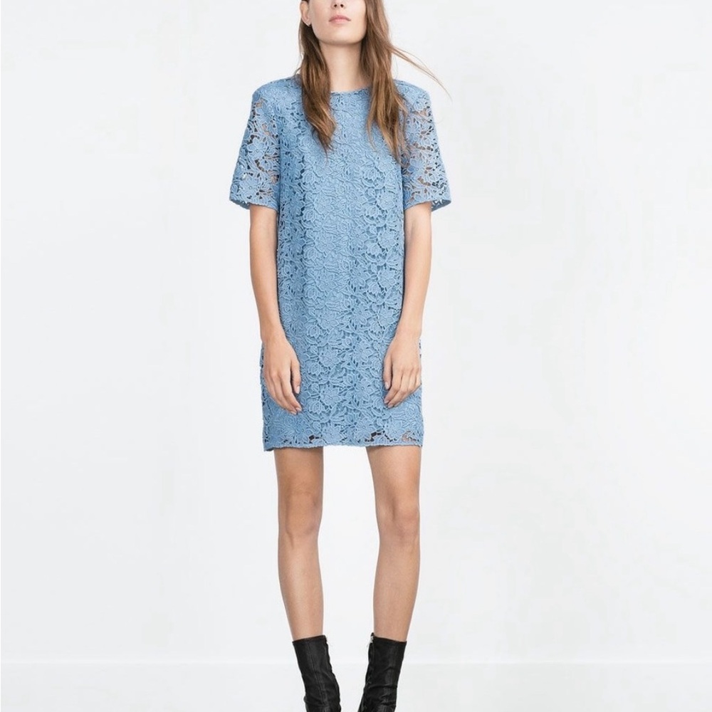 Zara light blue lace dress (L) NWT